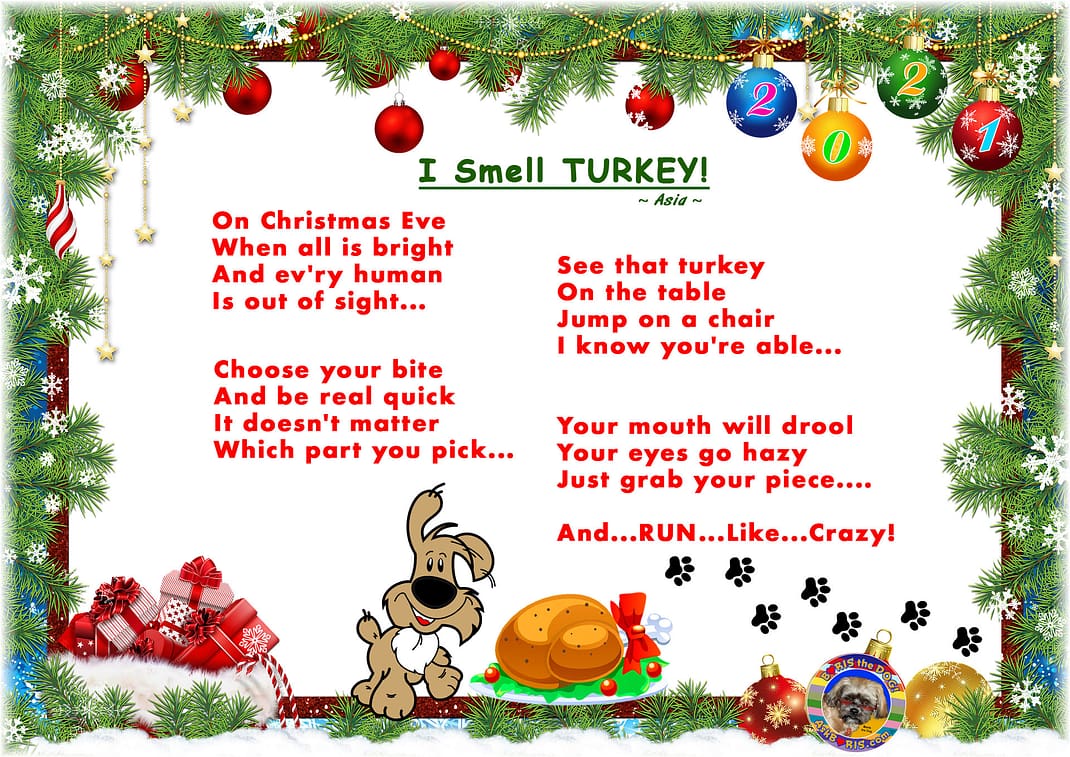 Turkey Poem Christmas 2021