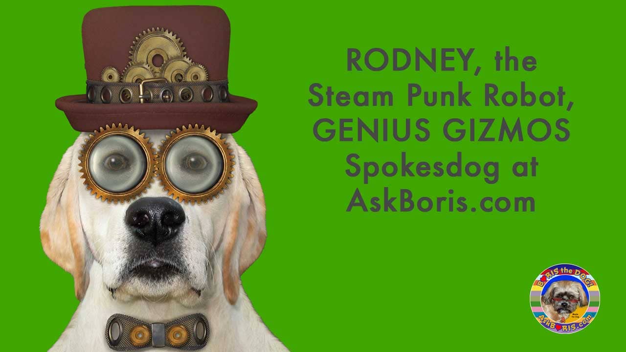 Rodney the Lab Steam Punk Robot Spokesdog