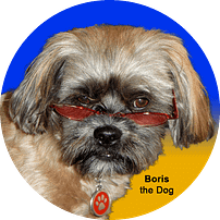 Boris the Dog