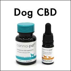 Discover Canna-Pet CBD Products for your Dog