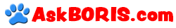 AskBoris.com