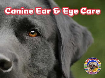 Canine Ear & Eye Care at Ask Boris Website