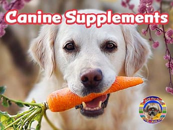 Canine Multivitamins & Herbal Supplements at Ask Boris the Dog Website