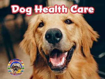 Dog Health Care & Supplements