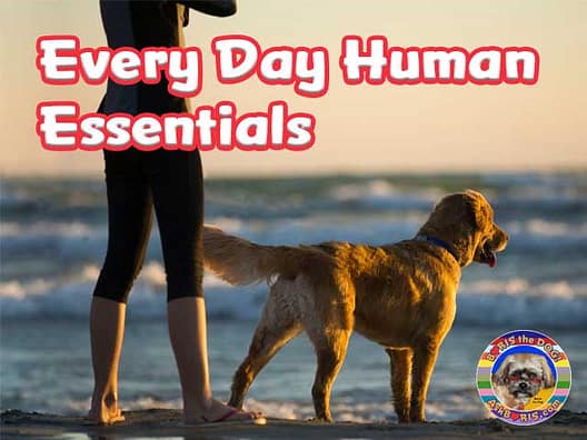 Every Day Human Essentials at Ask Boris Every Day Human Essentials