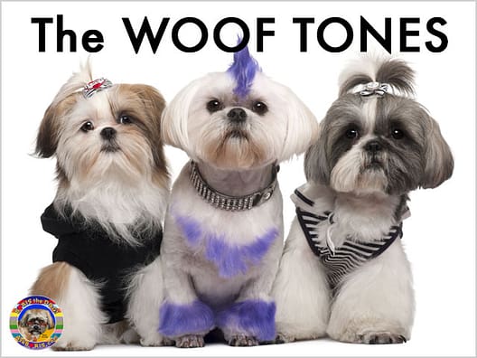 The Woof Tones Lion Dog Studios