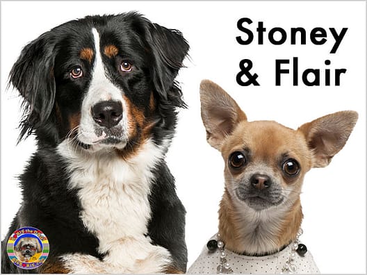 Stoney Flair at Lion Dog Studios