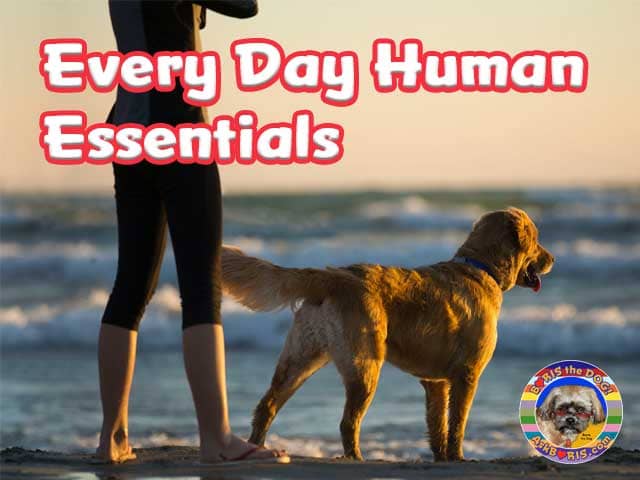 Every Day Human Essentials
